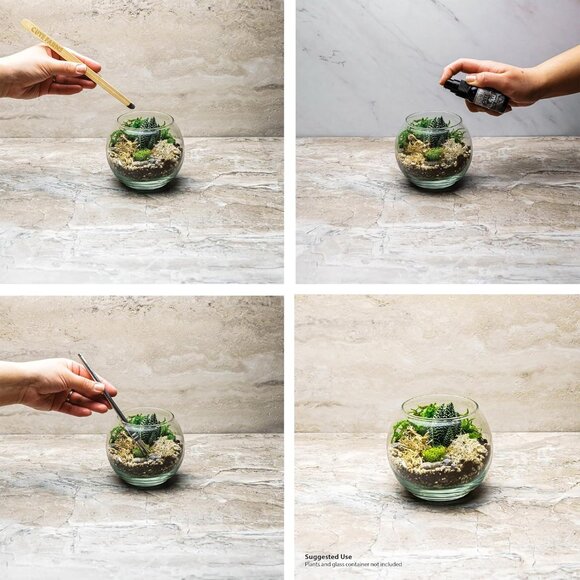 Terrarium Starter Kit | Moss, Vermiculite, Soil, Pebbles, Plant Food, Finishing - Picture 6 of 7